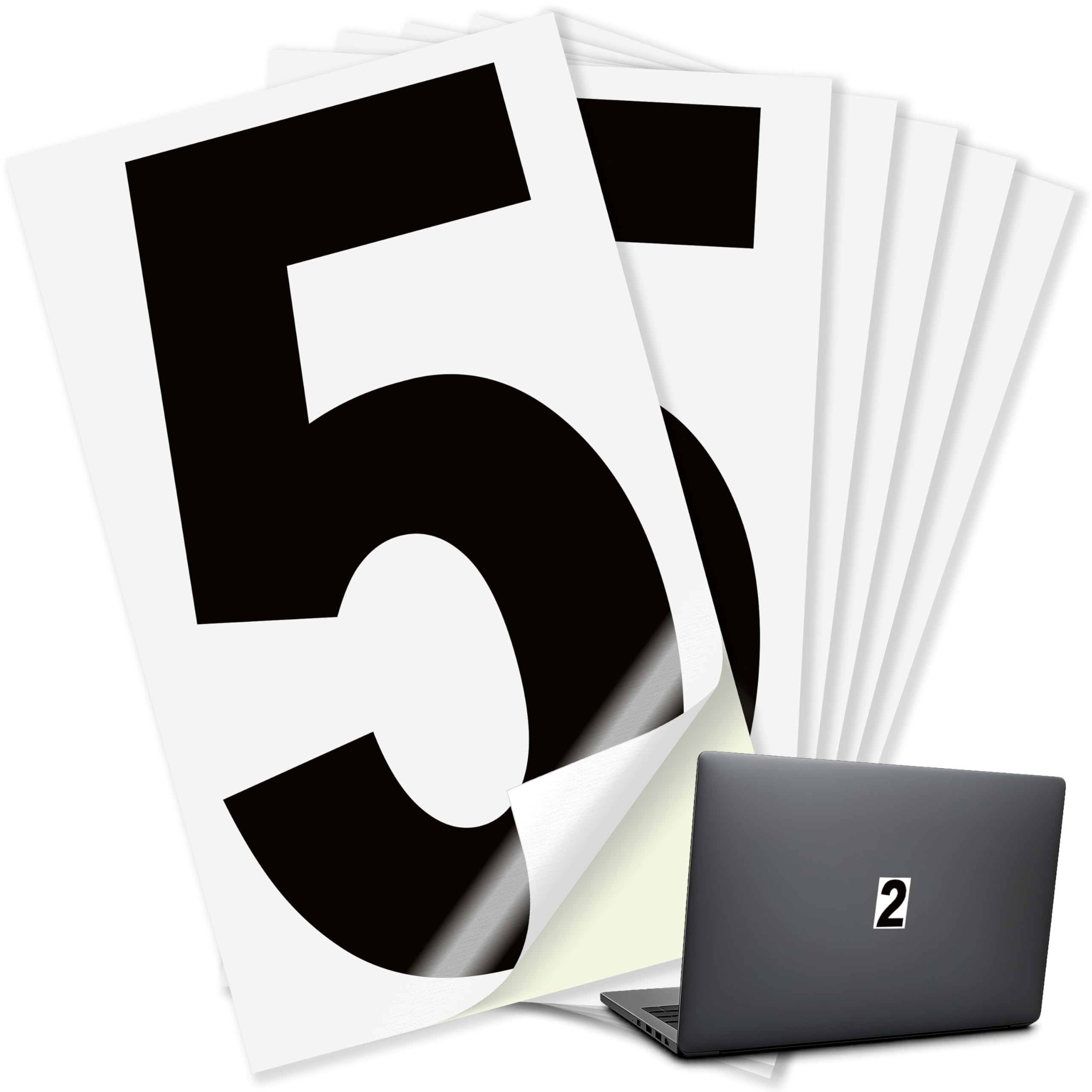 #5_White-with-Background