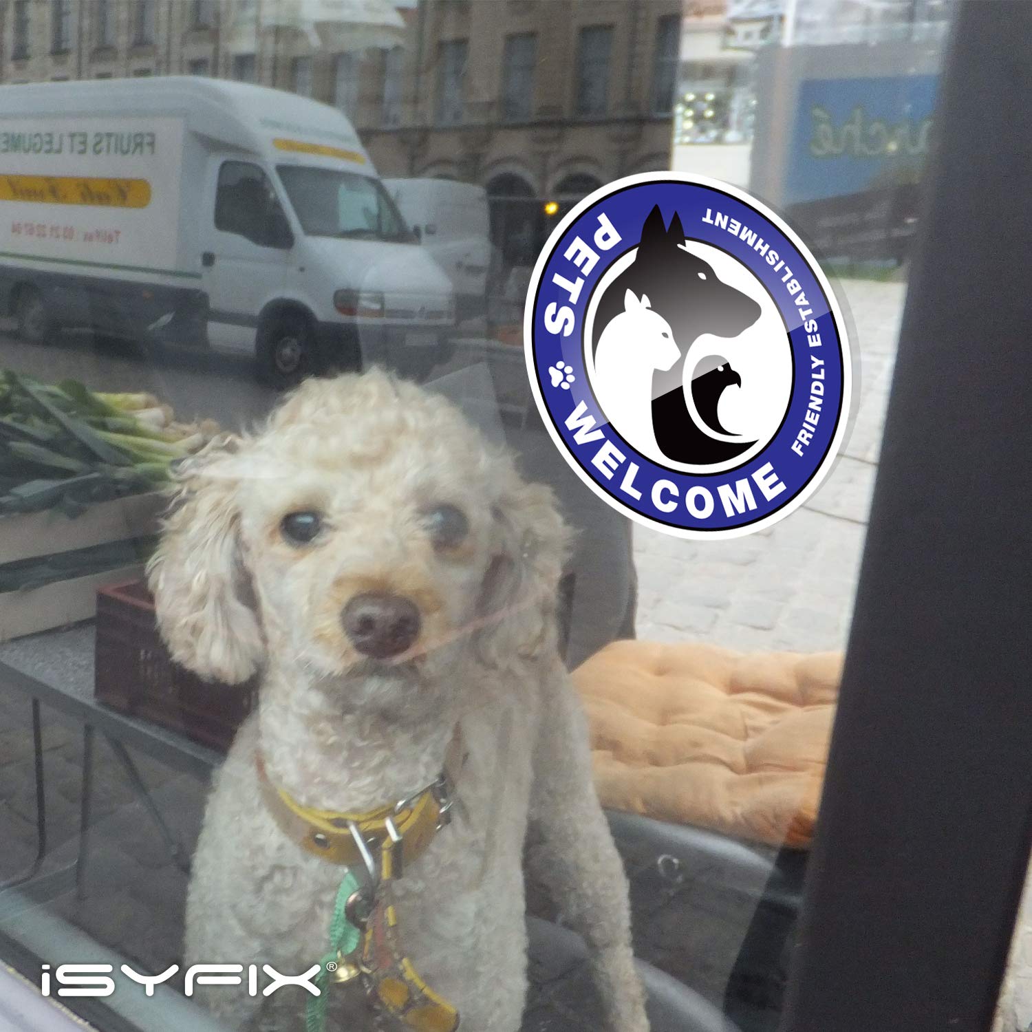 #White,-Black-&-Blue