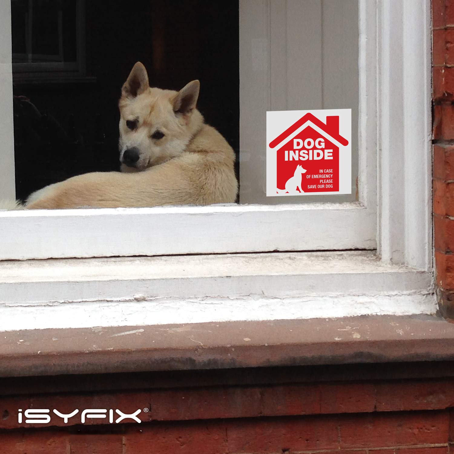 Dog Inside Alert Signs Stickers