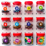 #Multicolor_1-inch